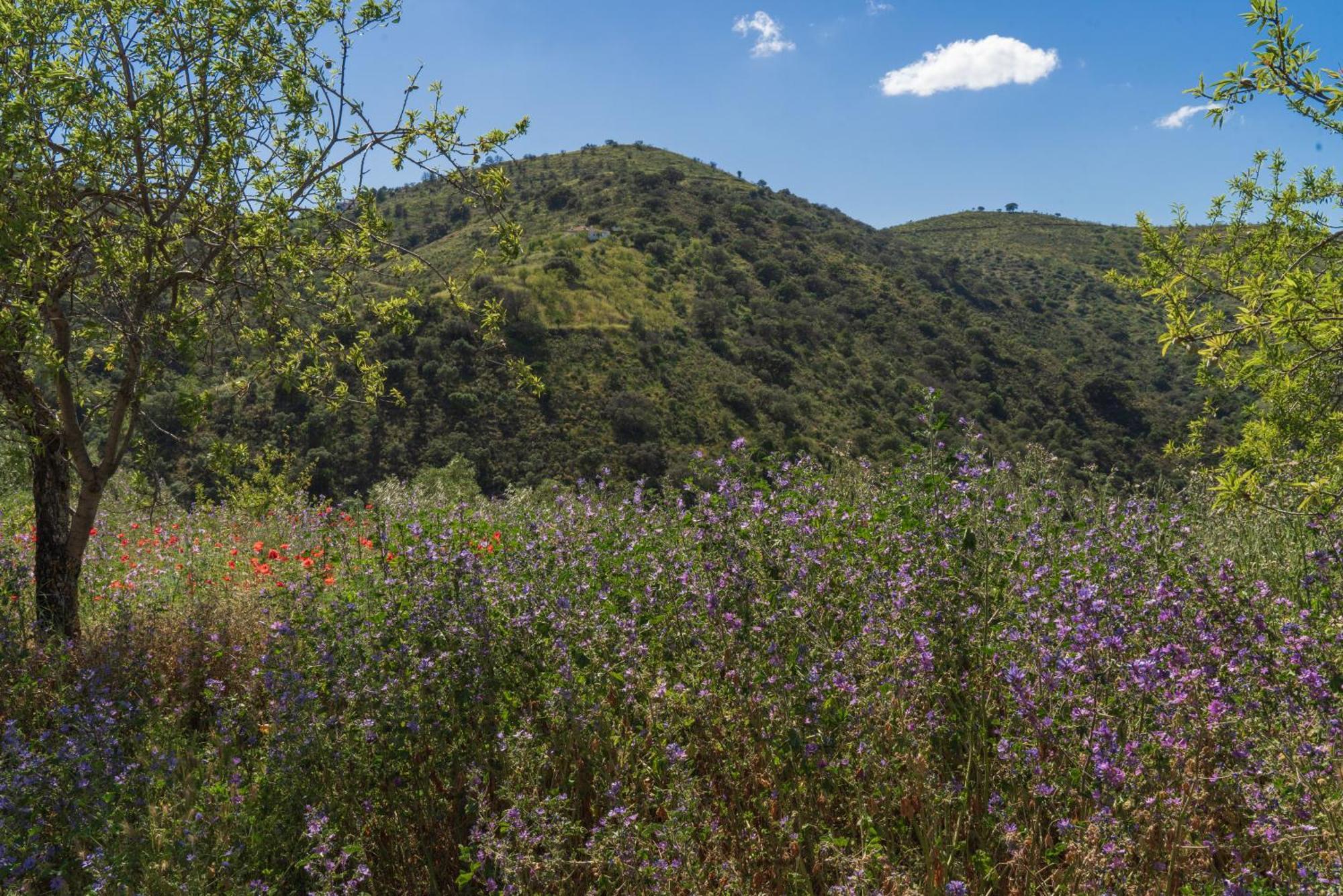 La Polifinca Ecologique Séjour chez l'habitant