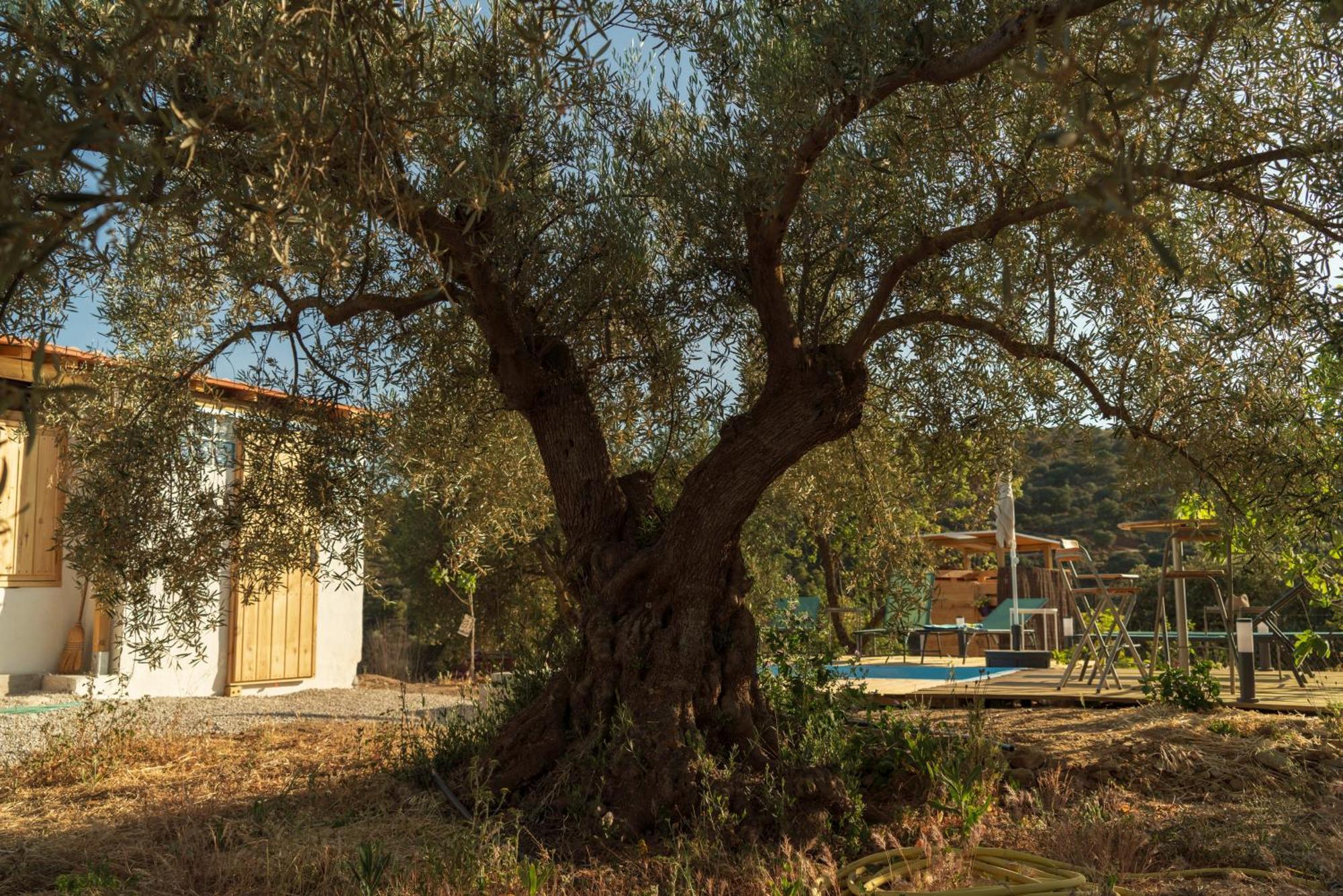 La Polifinca Ecologique *